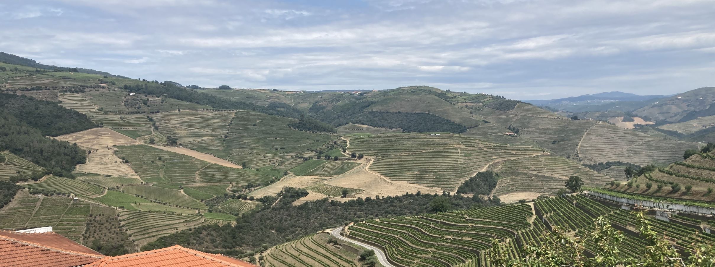 Looking over the Pinhao Valley