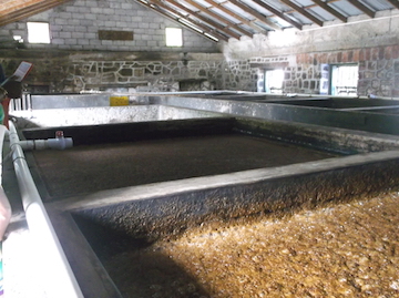 06-Fermentation.JPG