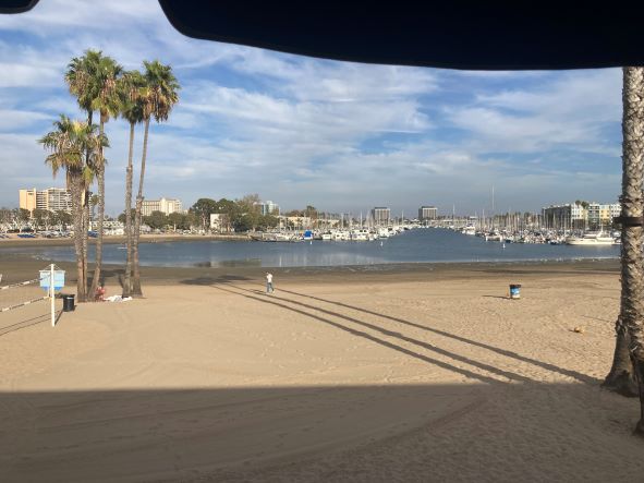 Marina del Rey harbour