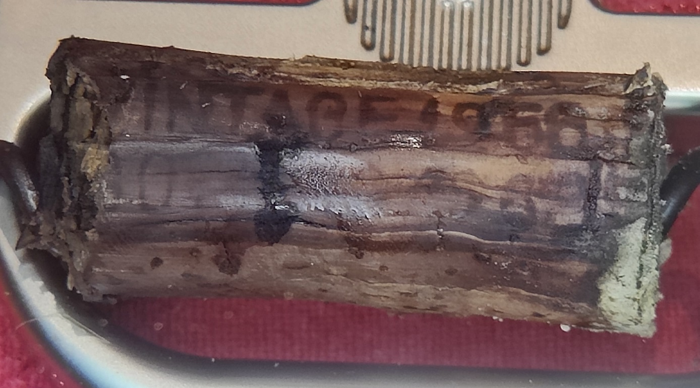 Fonseca 66 01.jpg