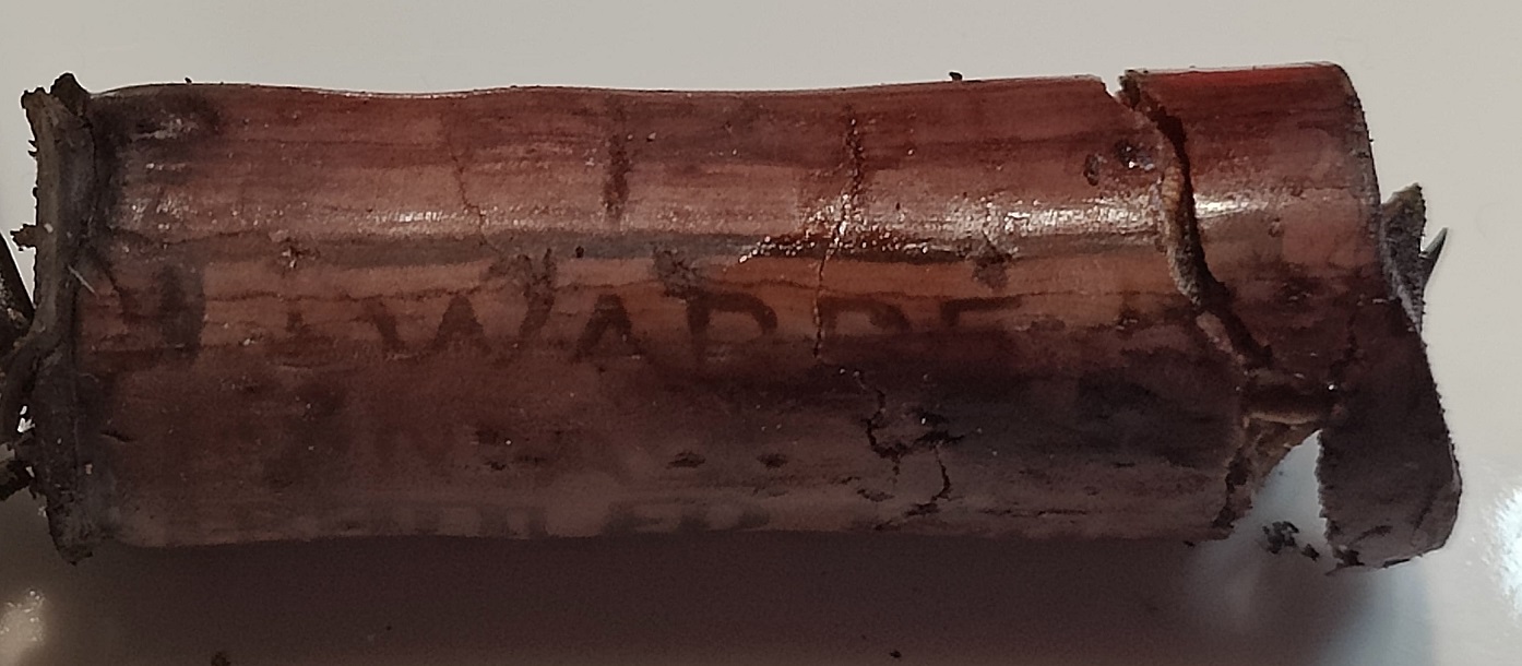Warres 02.jpg