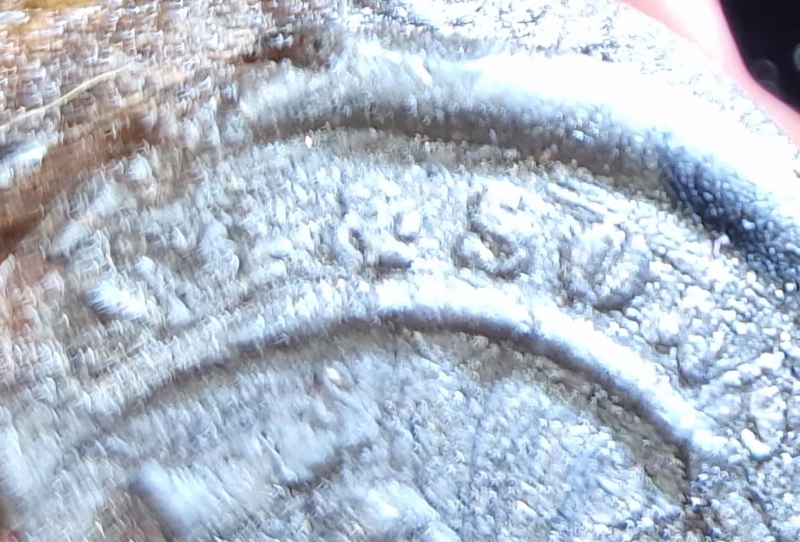 20241217_101946.jpg