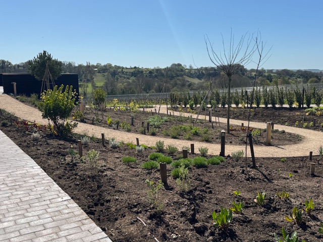 The newly planted kitchen garden