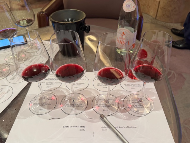Red wines lined up with the Cedro Tinto on the left