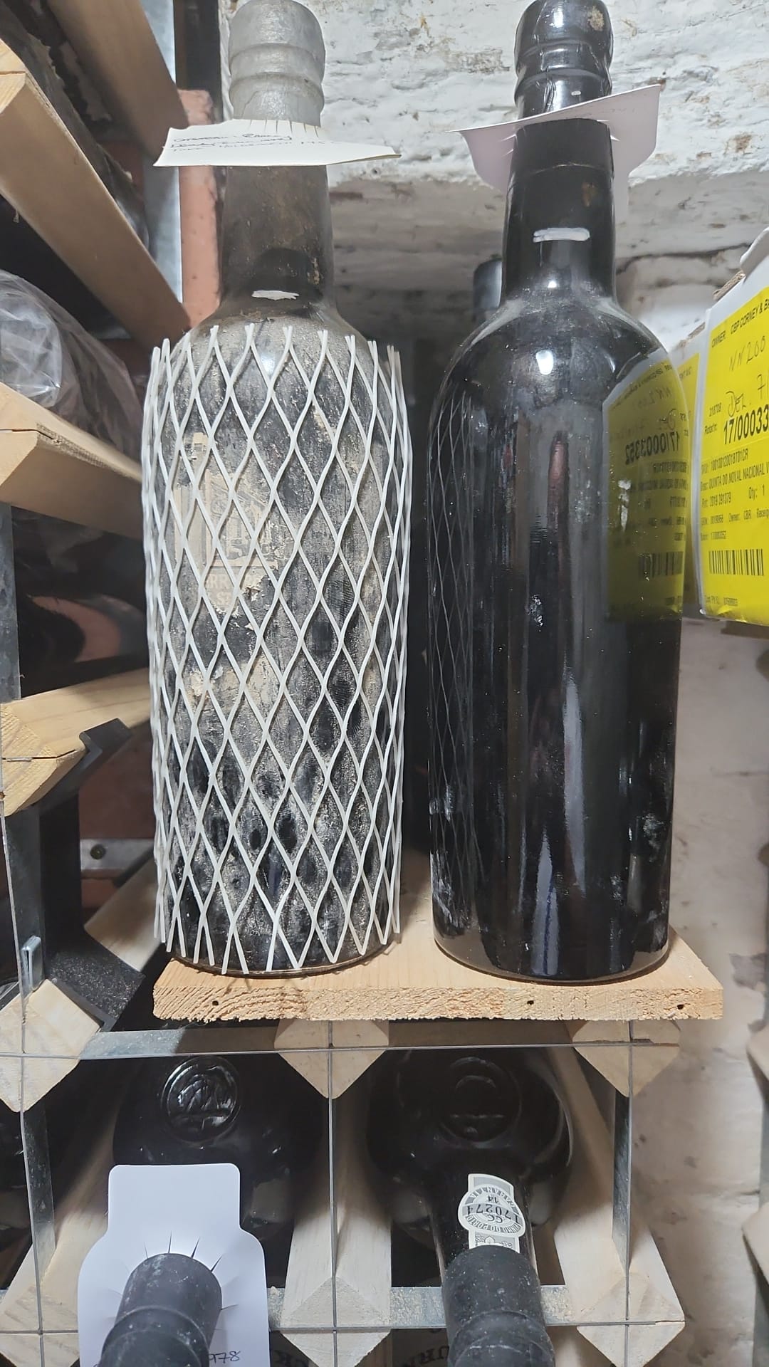TH55 & Mk55.jpg