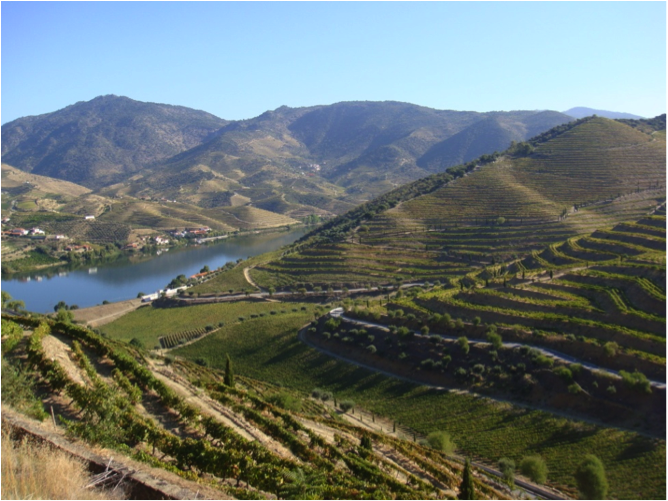 Picture from that same email (1)