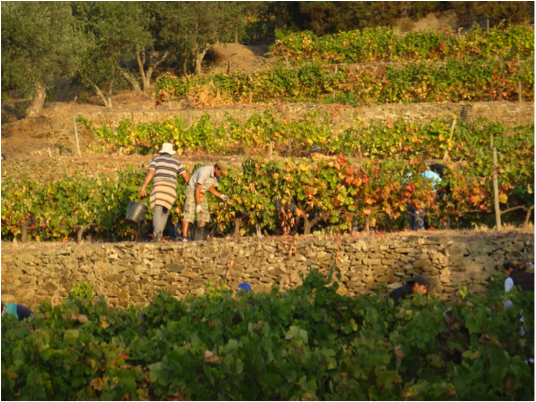 Picture from that same email (2)