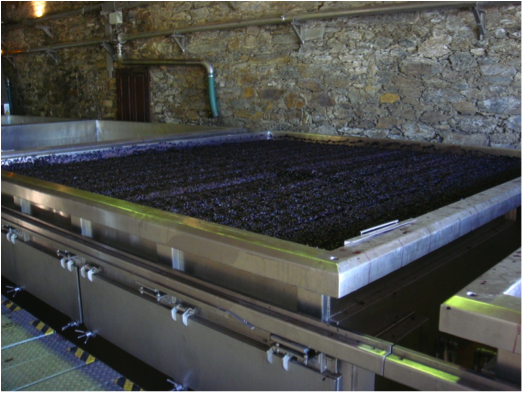 Picture from that same email (4)