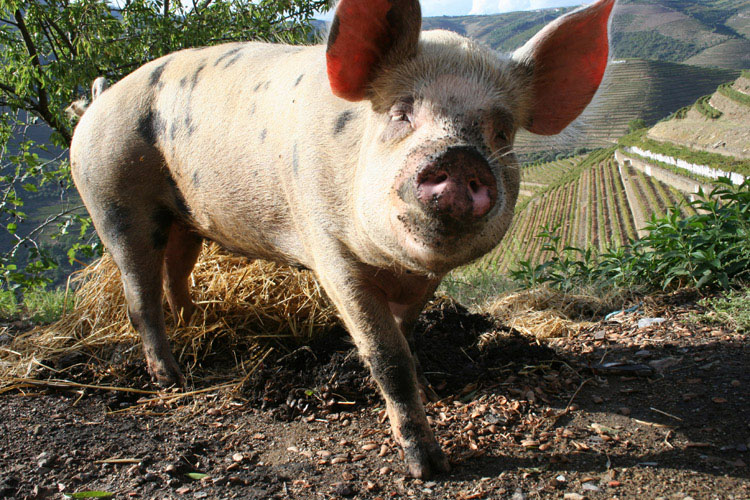 Hello Derek see you soon!