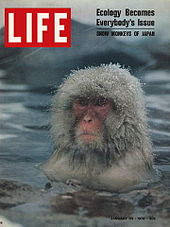 lifecover.jpg