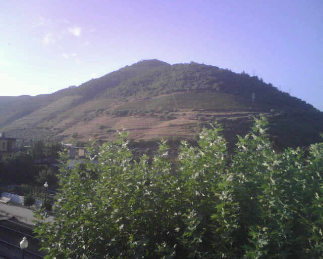 Quinta da Carvalhas